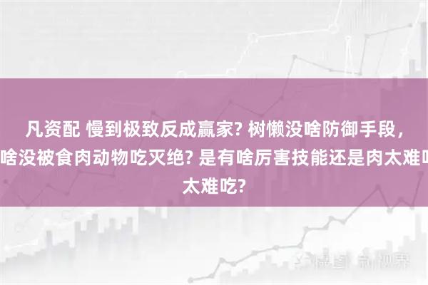 凡资配 慢到极致反成赢家? 树懒没啥防御手段，为啥没被食肉动物吃灭绝? 是有啥厉害技能还是肉太难吃?