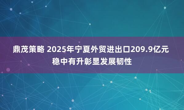 鼎茂策略 2025年宁夏外贸进出口209.9亿元 稳中有升彰显发展韧性
