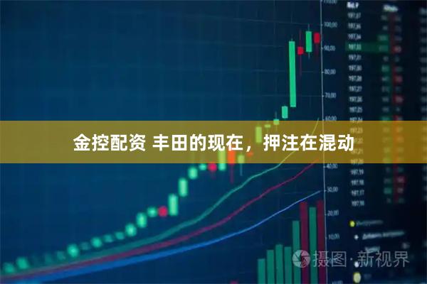 金控配资 丰田的现在，押注在混动