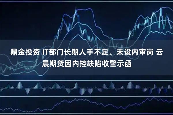 鼎金投资 IT部门长期人手不足、未设内审岗 云晨期货因内控缺陷收警示函