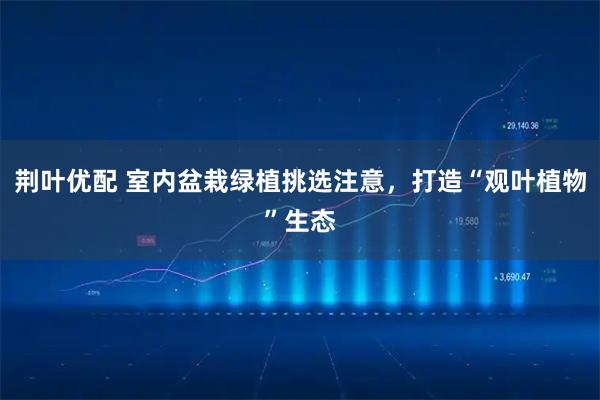 荆叶优配 室内盆栽绿植挑选注意，打造“观叶植物”生态