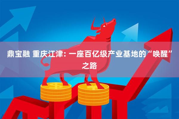鼎宝融 重庆江津: 一座百亿级产业基地的“唤醒”之路